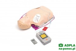 System treningowy Little Anne AED Laerdal 122-01050S
